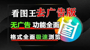 深入探索关键字的重要性及其应用